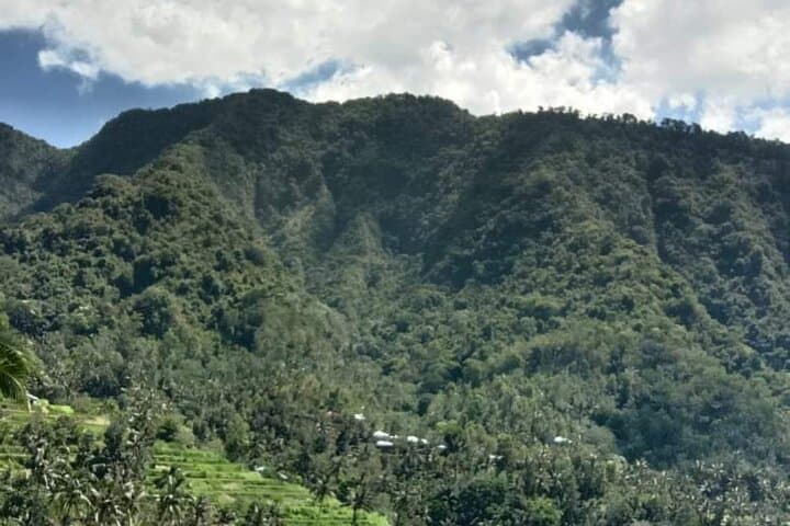 Sekumpul Waterfall & Handara Gate: North Bali's Seven Falls and Wanagiri Views photo 5