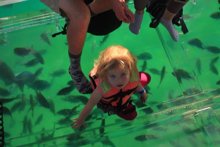 Glass-Bottom Boat to El Arco: Cabo San Lucas Arch & Sea Lion Tour photo 5