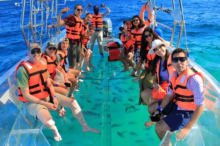 Glass-Bottom Boat to El Arco: Cabo San Lucas Arch & Sea Lion Tour photo 6