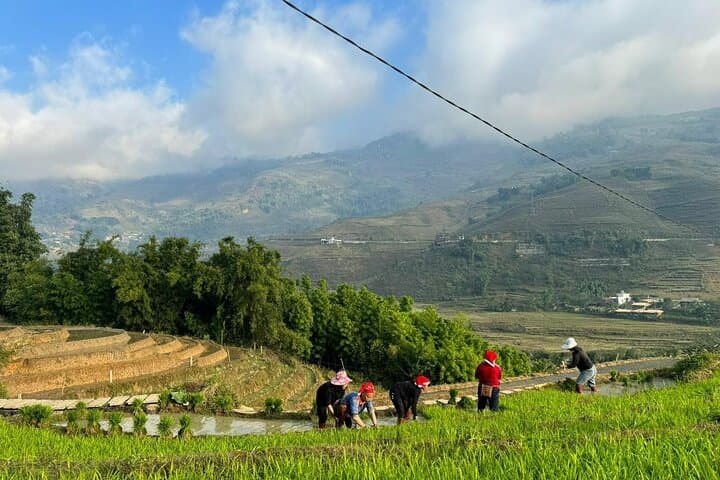 Sapa 3-Day Trek from Ha Noi: Lao Chai to Ban Ho Homestays with Local Guides