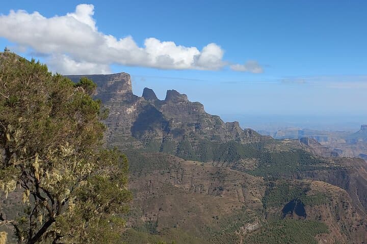 Simien Mountains 3-Day Trek: Geladas, Ethiopian Wolf & Mt Buahit Summit photo 4