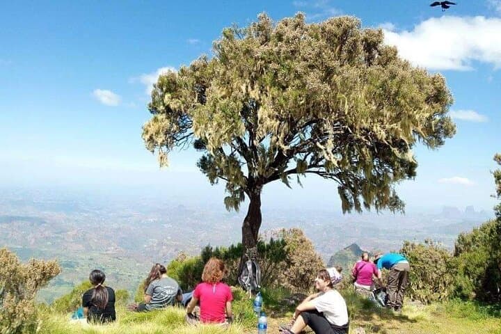 Simien Mountains 3-Day Trek: Geladas, Ethiopian Wolf & Mt Buahit Summit photo 6