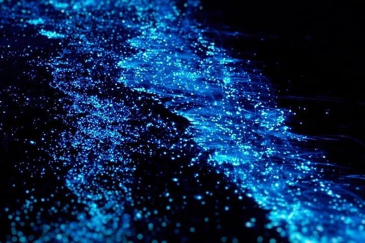 Ao Nang Bioluminescent Plankton Night Swim by Longtail Boat photo 4