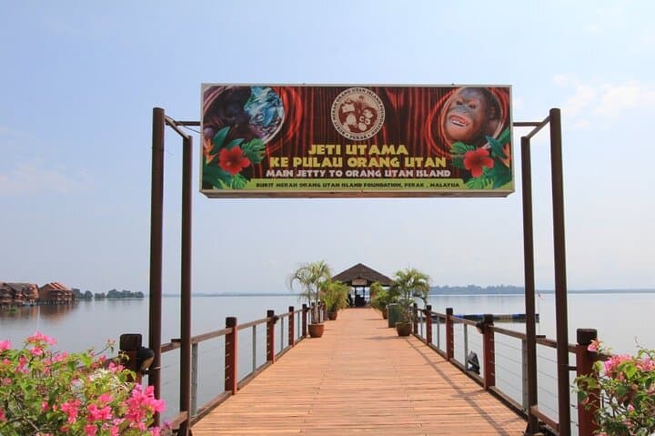 Orang Utan Island Day Tour — Bukit Merah Orangutan Sanctuary from Kuala Lumpur photo 5