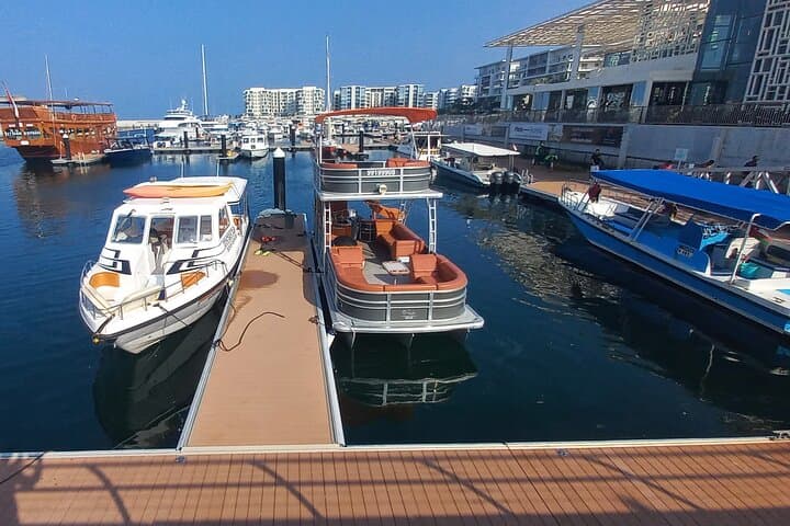 Snorkeling Dimaniyat Islands: Day Trip from Muscat for Turtles, Reefs & Dolphins