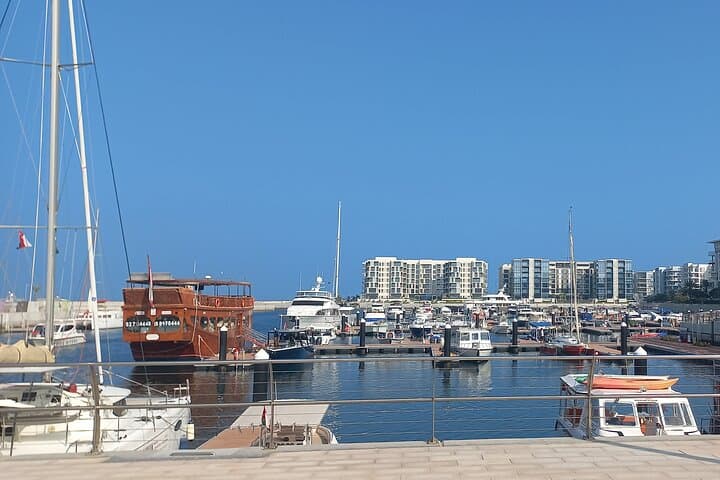 Snorkeling Dimaniyat Islands: Day Trip from Muscat for Turtles, Reefs & Dolphins photo 3