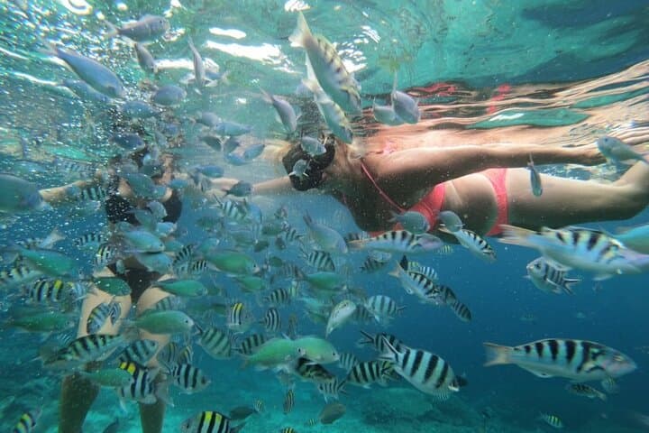 Three Islands Snorkeling with Manta Rays from Nusa Lembongan photo 5