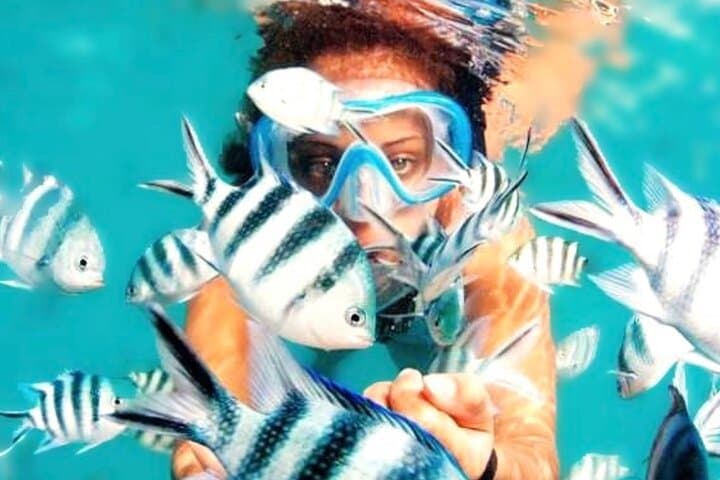 Family Snorkeling & Lunch from Montego Bay — Reef Adventure for All Ages photo 4