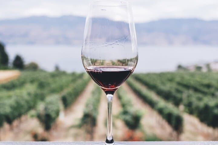Kefalonia Wine Adventure: 18 Tastings at Three Wineries Around Mount Ainos