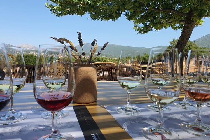 Kefalonia Wine Adventure: 18 Tastings at Three Wineries Around Mount Ainos photo 3