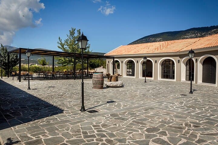 Kefalonia Wine Adventure: 18 Tastings at Three Wineries Around Mount Ainos photo 5