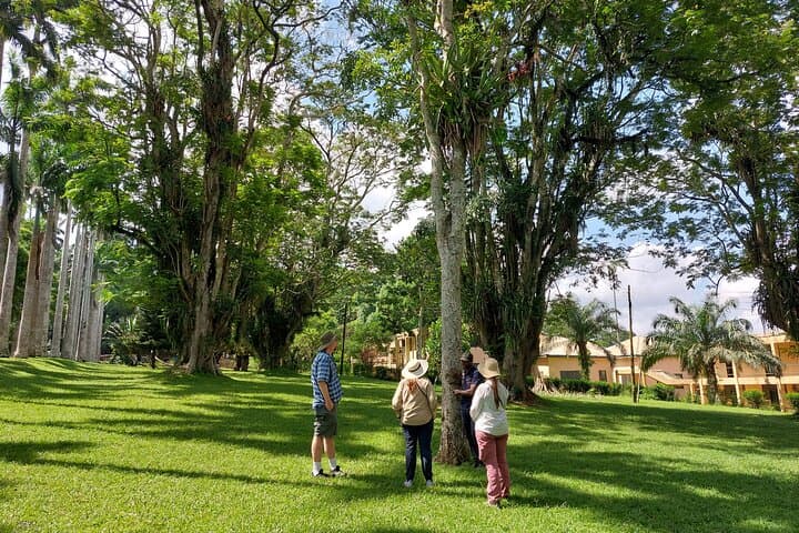 Aburi Botanical Gardens & Cocoa Tour from Accra — Half-Day Private Transfer
