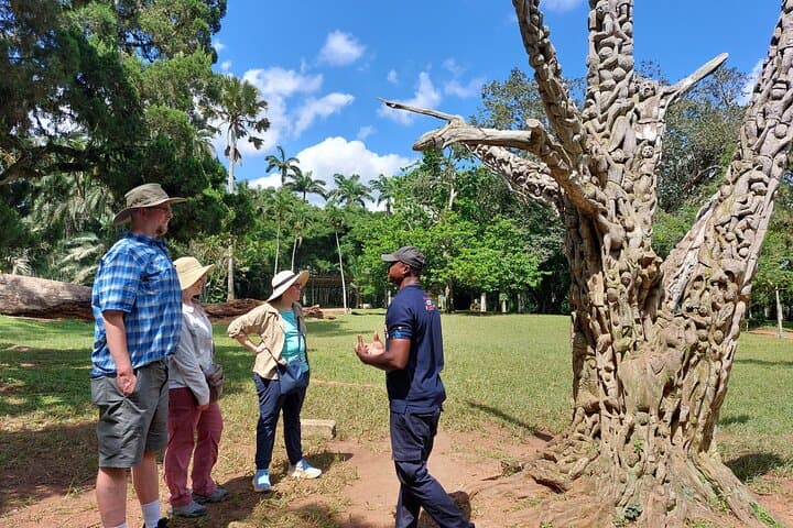 Aburi Botanical Gardens & Cocoa Tour from Accra — Half-Day Private Transfer photo 4