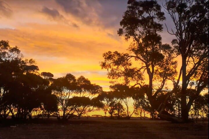 Self-Guided Stirling Range Driving Tour: Bluff Knoll, Toolbrunup & Mount Trio photo 3