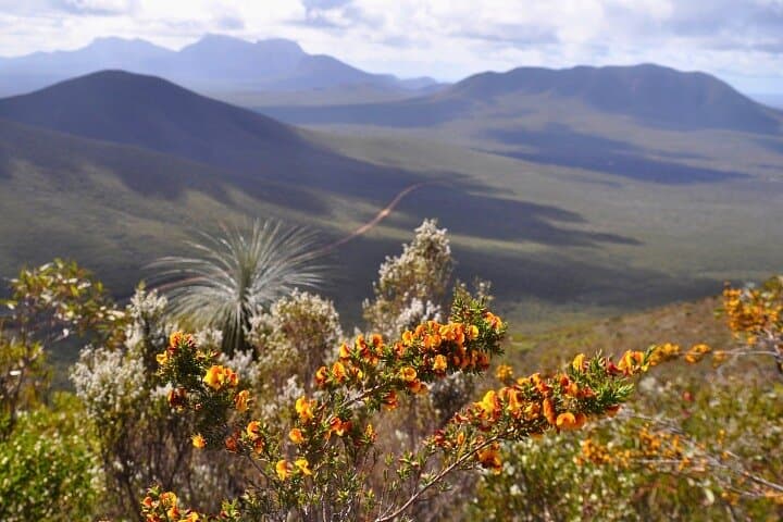 Self-Guided Stirling Range Driving Tour: Bluff Knoll, Toolbrunup & Mount Trio photo 6