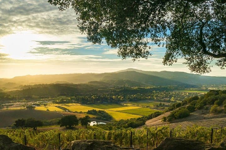 Private Russian River Valley Wine Tour from San Francisco — Full-Day Tasting & Lunch photo 1
