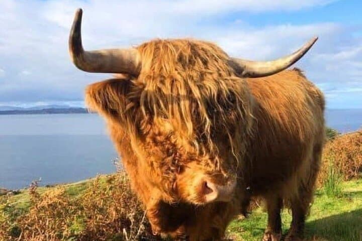 Invergordon Day Tour: Dunrobin Castle, Dornoch & Glenmorangie Distillery photo 6