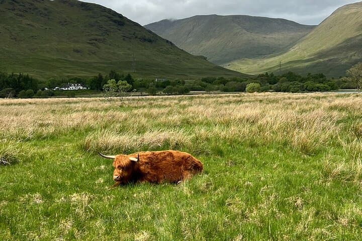 Private Day Trip from Edinburgh to Glencoe via Loch Lomond & Inveraray photo 5