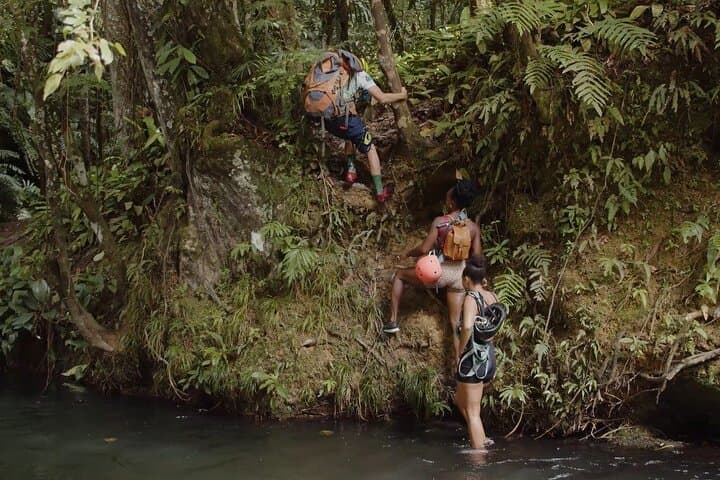 4-Day Shared Tour Around Trinidad: Pitch Lake, Caroni & Cocoa Trails photo 3