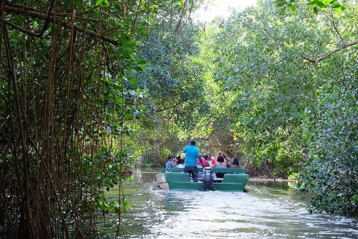4-Day Shared Tour Around Trinidad: Pitch Lake, Caroni & Cocoa Trails