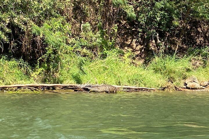 Sumidero Canyon Boat Tour: Chiapa de Corzo & Miradores from San Cristóbal photo 5