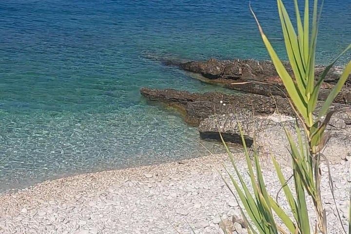 Early-Morning Korčula Secret Beach: Quiet Swim on an Off-the-Path Adriatic Shore photo 2