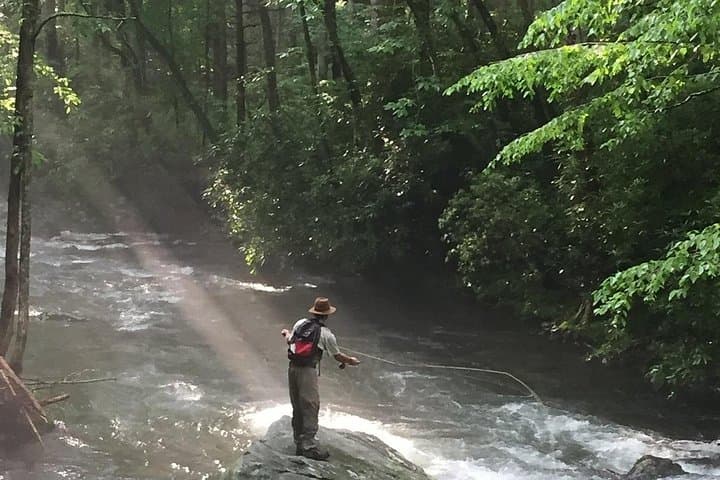 Half-Day Fly Fishing in the Great Smoky Mountains: Little River & Elkmont Guided Trip photo 1