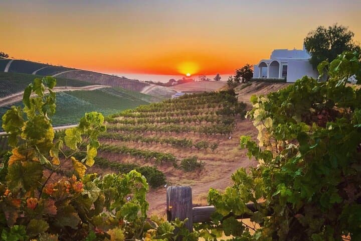 Self-Guided Paso Robles Wine Tour: Audio Driving Itinerary to 10 Top Wineries photo 3