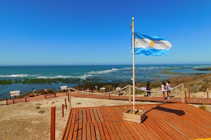 Peninsula Valdés Shore Tour from Puerto Madryn: Wildlife, Orcas & Coastal Viewpoints photo 6