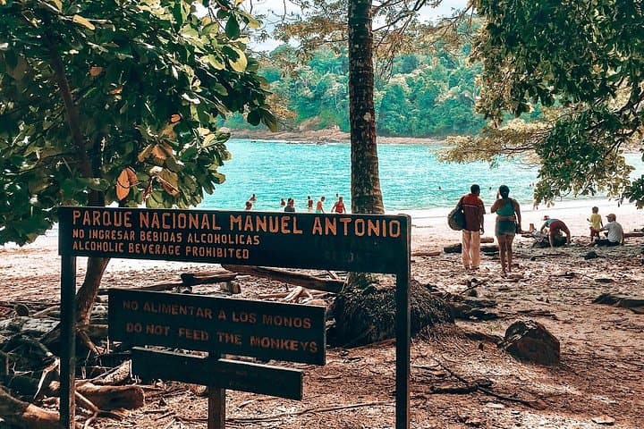 Manuel Antonio National Park Day Trip from San José — Beach, Wildlife & Rainforest photo 1