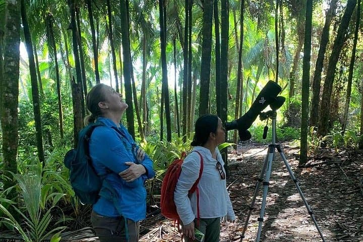 Coastal Birding and Wildlife Walk at Marino Ballena National Park photo 1