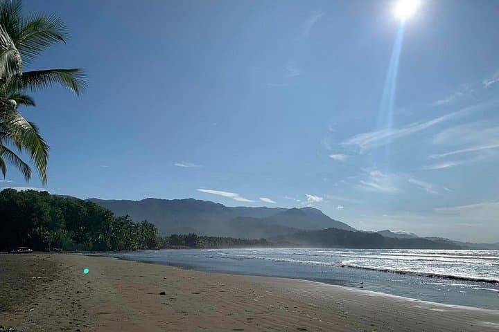Coastal Birding and Wildlife Walk at Marino Ballena National Park photo 2