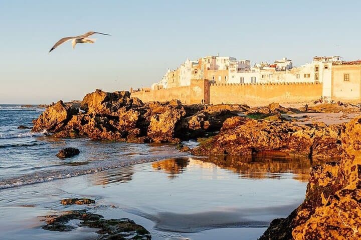 Essaouira Day Trip from Marrakech — Windswept Medina, Port & Beach