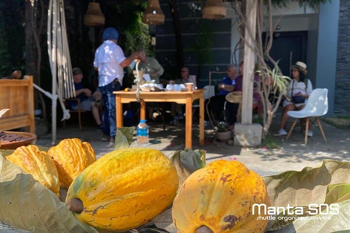 Rocafuerte Cocoa Farm Tour — Craft Chocolate Experience near Manta, Ecuador photo 2