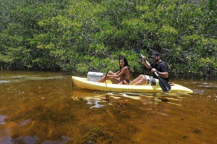 Kayak the Sisal Mangroves: Birding, Coastal Spring Swim & Sunset from Mérida photo 3