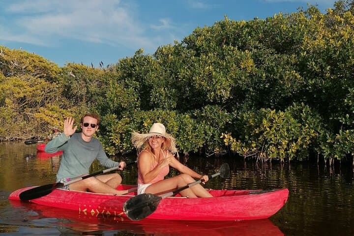 Kayak the Sisal Mangroves: Birding, Coastal Spring Swim & Sunset from Mérida photo 2