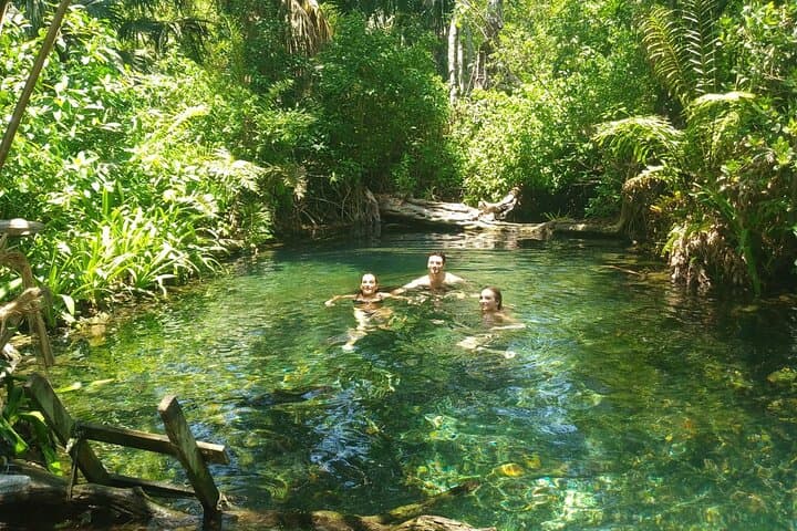 Kayak the Sisal Mangroves: Birding, Coastal Spring Swim & Sunset from Mérida photo 6