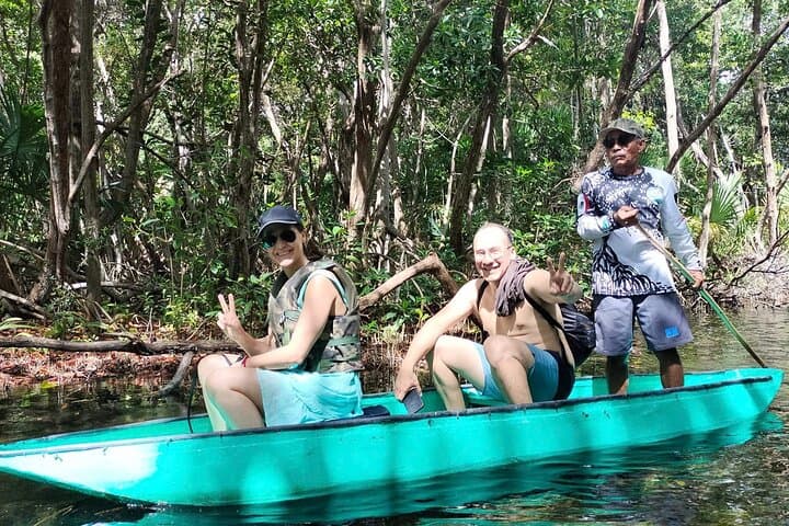 Kayak the Sisal Mangroves: Birding, Coastal Spring Swim & Sunset from Mérida