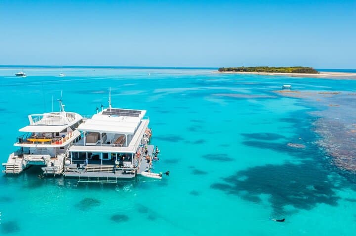 Explore Lady Musgrave Island: A Full-Day Snorkeling Adventure from Bundaberg photo 2