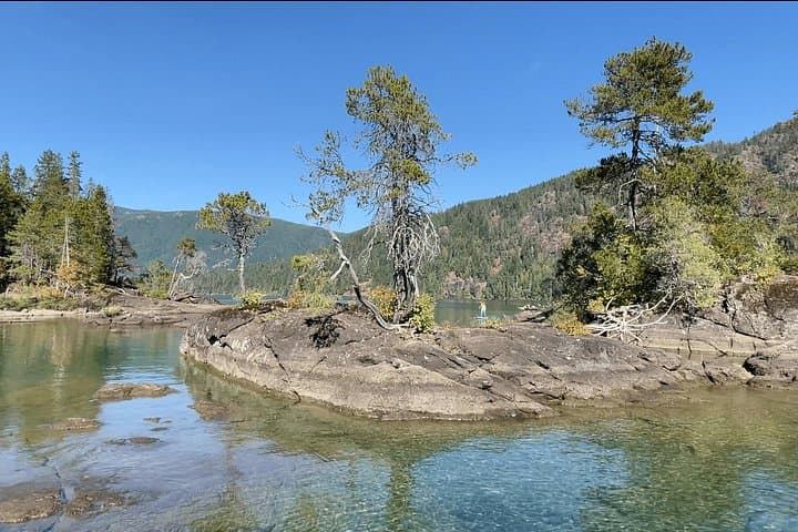 Gordon Bay SUP: 1.5-Hour Guided Paddleboard Tour on Cowichan Lake photo 4