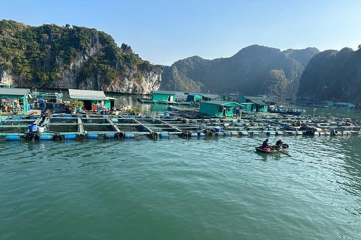 2-Day Private Lan Ha Bay Cruise: Cat Ba Expedition & Overnight Boat Tour photo 4