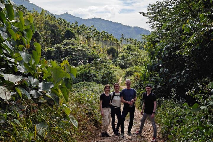 Scooter and Rainforest Hike on Liuluo Mountain: Countryside Ride and Tropical Trails photo 3