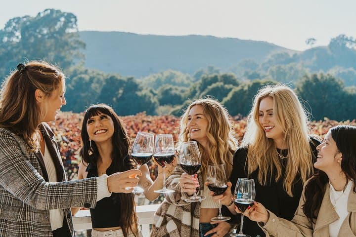 Ultimate Napa & Sonoma Wine Country Day Tour from San Francisco photo 1
