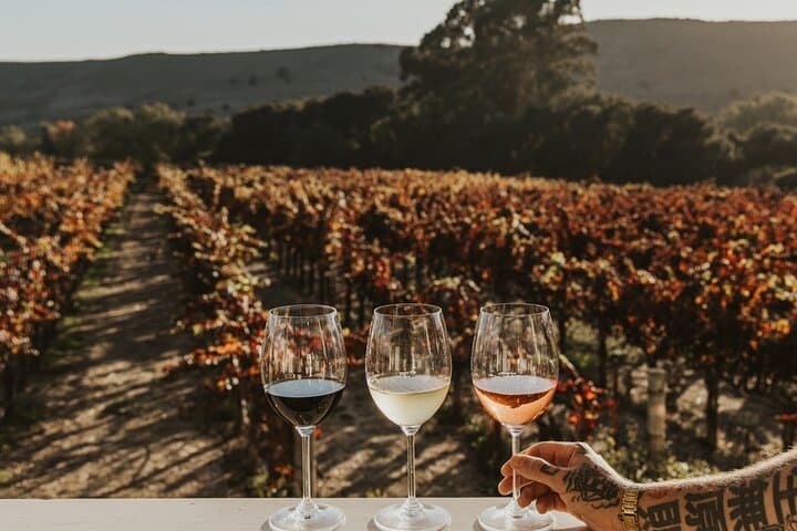 Ultimate Napa & Sonoma Wine Tour from San Francisco photo 6