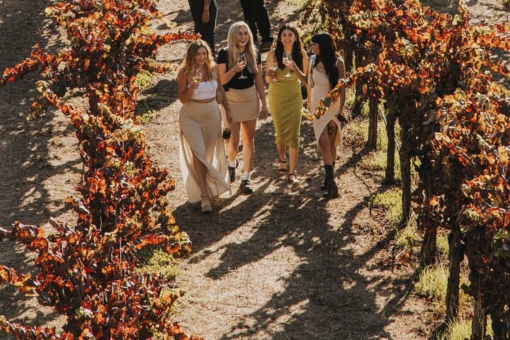Ultimate Napa & Sonoma Wine Tour from San Francisco photo 5