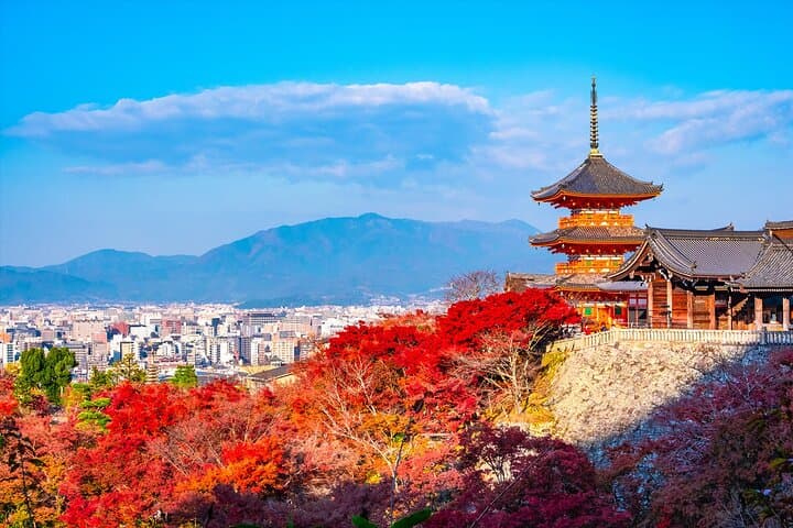 From Osaka: 10-Hour Private Vehicle Tour to Kyoto or Nara photo 3