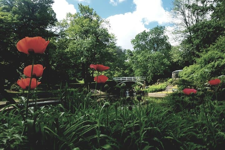 Private Montreal Garden Tour from Kingstown — Guided Botanical Excursion photo 2