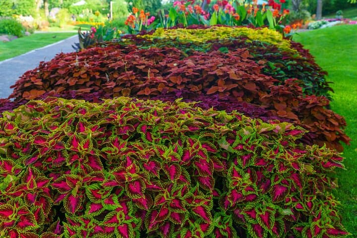 Private Montreal Garden Tour from Kingstown — Guided Botanical Excursion photo 6