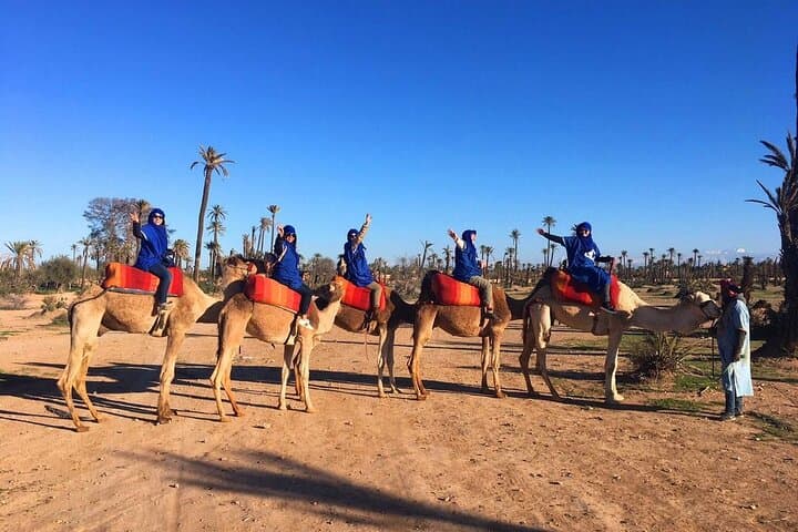 Palmeraie Camel Ride: 1-Hour Shared Camel Trek Near Marrakech