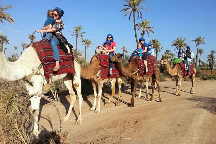 Palmeraie Camel Ride: 1-Hour Shared Camel Trek Near Marrakech photo 6